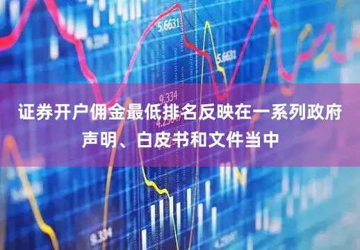 证券开户佣金最低排名反映在一系列政府声明、白皮书和文件当中