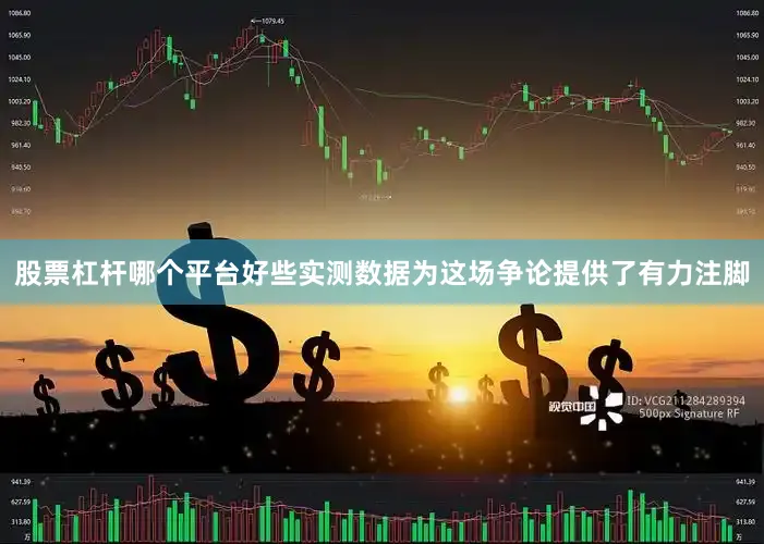股票杠杆哪个平台好些实测数据为这场争论提供了有力注脚