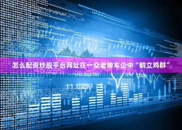 怎么配资炒股平台网址在一众老牌车企中“鹤立鸡群”